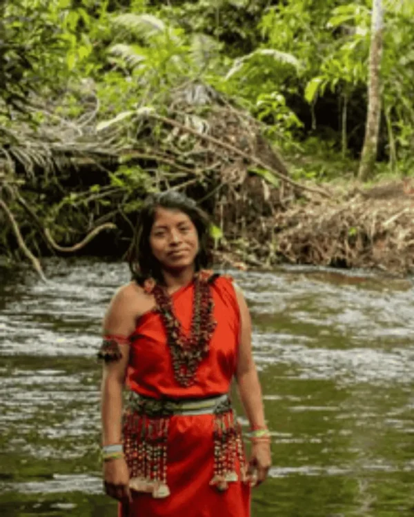 Full Day Bosque de las Nuwas