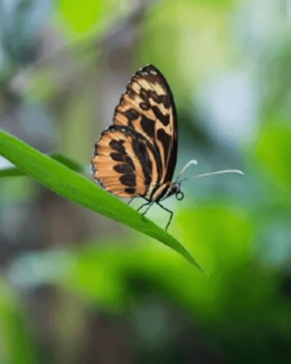 Diseno-sin-titulo-1-2 Full Day Naturaleza y Aventura