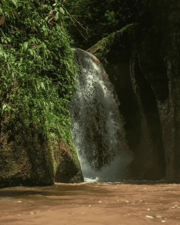 Parque Nacional del Río Abiseo 3D-2N
