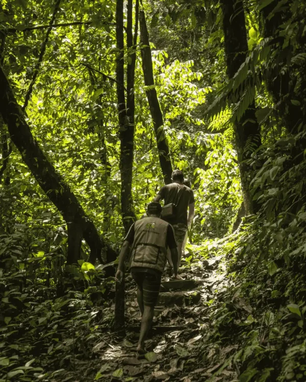 Parque Nacional del Río Abiseo 3D-2N
