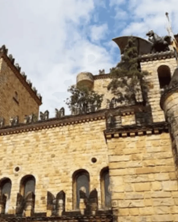 Diseno-sin-titulo-3 Full Day Lamas