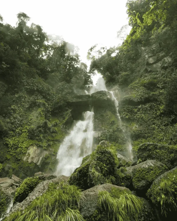 Parque Nacional del Río Abiseo 3D-2N