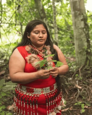 Full Day Bosque de las Nuwas