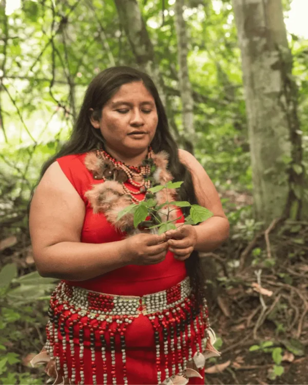 Full Day Bosque de las Nuwas