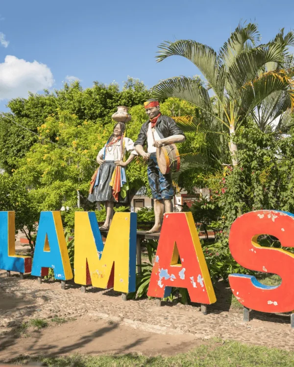 Lamas Full Day Lamas