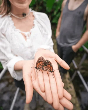 Full Day Pucayaquillo